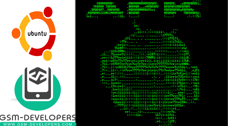 APKTool-for-Ubuntu-logo.jpg