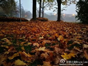 huawei-mate-9-camera-sample_7-gsm-developers