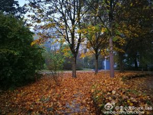 huawei-mate-9-camera-sample_8-gsm-developers