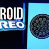 تأیید نام Oreo برای اندروید جدید توسط ایوان بلس
