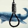 مدیرعامل بنیاد ملی بازی‌های رایانه‌ای : چالش نهنگ آبی تمام شد